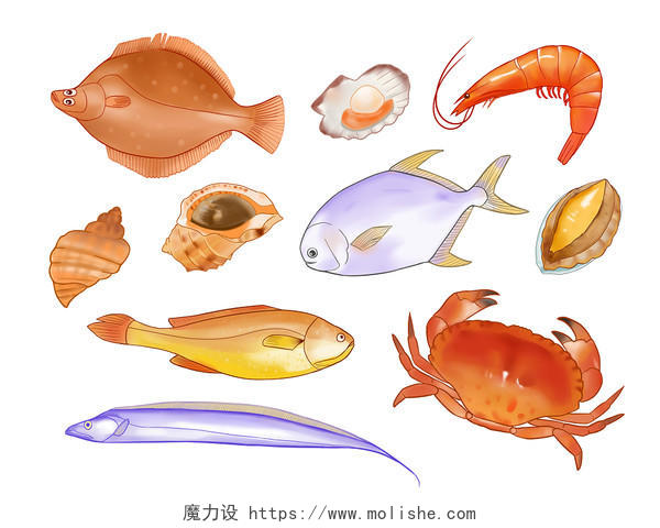海鲜大全不同种类的海鲜水产餐饮PNG素材海鲜插画